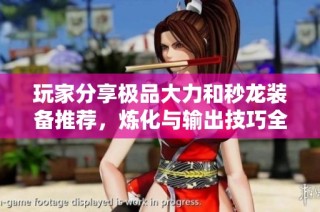 玩家分享极品大力和秒龙装备推荐，炼化与输出技巧全面解析