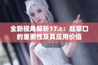 全新视角解析17.c：起草口的重要性及其应用价值