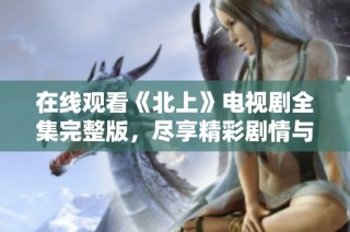 在线观看《北上》电视剧全集完整版，尽享精彩剧情与感人故事