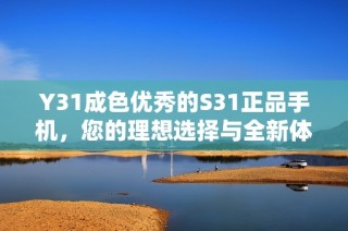 Y31成色优秀的S31正品手机，您的理想选择与全新体验