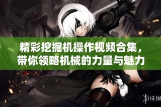 精彩挖掘机操作视频合集，带你领略机械的力量与魅力