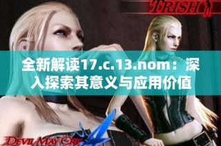 全新解读17.c.13.nom：深入探索其意义与应用价值