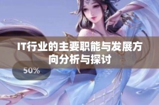 IT行业的主要职能与发展方向分析与探讨