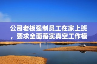 公司老板强制员工在家上班，要求全面落实真空工作模式
