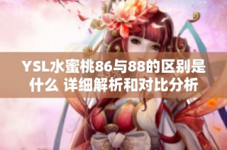 YSL水蜜桃86与88的区别是什么 详细解析和对比分析