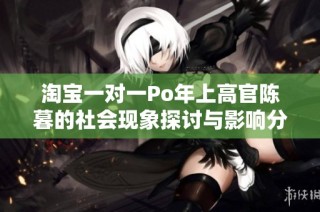 淘宝一对一Po年上高官陈暮的社会现象探讨与影响分析