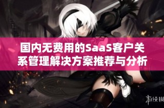 国内无费用的SaaS客户关系管理解决方案推荐与分析