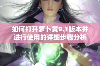 如何打开萝卜黄9.1版本并进行使用的详细步骤分析