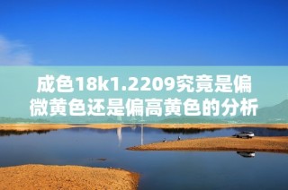 成色18k1.2209究竟是偏微黄色还是偏高黄色的分析与探讨
