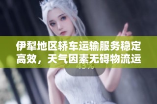 伊犁地区轿车运输服务稳定高效，天气因素无碍物流运营