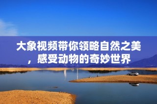大象视频带你领略自然之美，感受动物的奇妙世界