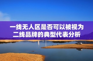 一线无人区是否可以被视为二线品牌的典型代表分析