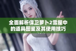 全面解析保卫萝卜2雪屋中的道具图鉴及其使用技巧