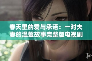 春天里的爱与承诺：一对夫妻的温馨故事完整版电视剧