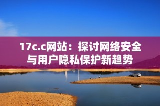 17c.c网站：探讨网络安全与用户隐私保护新趋势