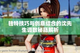 独特技巧与创意结合的沈先生调数秘籍解析