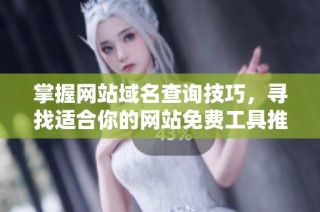 掌握网站域名查询技巧，寻找适合你的网站免费工具推荐
