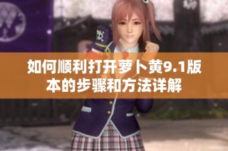 如何顺利打开萝卜黄9.1版本的步骤和方法详解