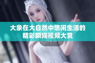 大象在大自然中悠闲生活的精彩瞬间视频大赏
