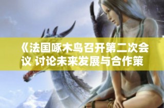 《法国啄木鸟召开第二次会议 讨论未来发展与合作策略》