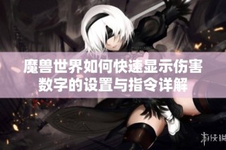 魔兽世界如何快速显示伤害数字的设置与指令详解