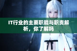 IT行业的主要职能与职责解析，你了解吗