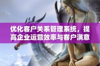 优化客户关系管理系统，提高企业运营效率与客户满意度