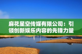 麻花星空传媒有限公司：引领创新娱乐内容的先锋力量