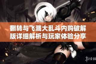 翻转与飞溅大乱斗内购破解版详细解析与玩家体验分享