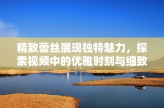 精致蕾丝展现独特魅力，探索视频中的优雅时刻与细致工艺