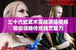 三十六式武术实战演练视频带你领略传统技艺魅力