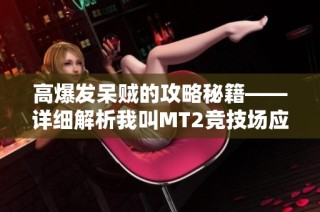 高爆发呆贼的攻略秘籍——详细解析我叫MT2竞技场应对策略