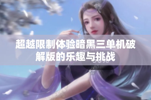超越限制体验暗黑三单机破解版的乐趣与挑战