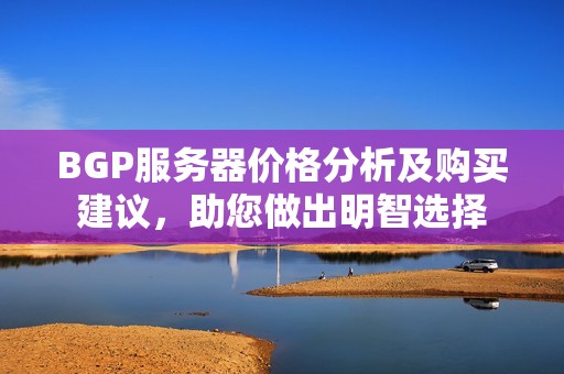 BGP服务器价格分析及购买建议，助您做出明智选择