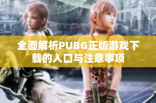 全面解析PUBG正版游戏下载的入口与注意事项