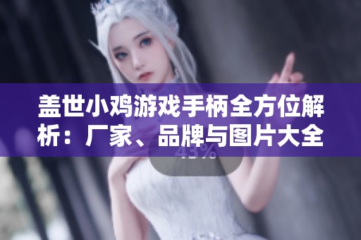 盖世小鸡游戏手柄全方位解析：厂家、品牌与图片大全