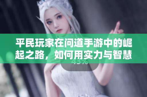 平民玩家在问道手游中的崛起之路，如何用实力与智慧实现逆袭
