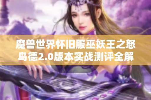 魔兽世界怀旧服巫妖王之怒鸟德2.0版本实战测评全解读与打地鼠技能效果分析