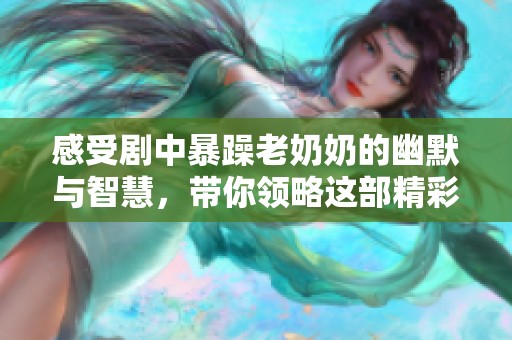 感受剧中暴躁老奶奶的幽默与智慧，带你领略这部精彩电视剧的魅力