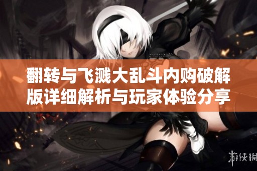 翻转与飞溅大乱斗内购破解版详细解析与玩家体验分享