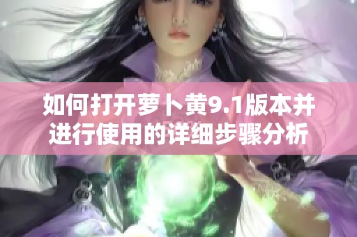 如何打开萝卜黄9.1版本并进行使用的详细步骤分析