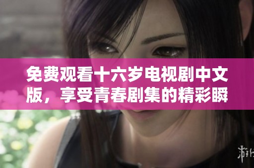 免费观看十六岁电视剧中文版，享受青春剧集的精彩瞬间