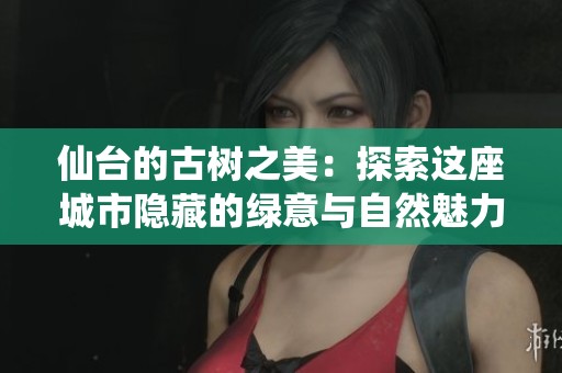 仙台的古树之美：探索这座城市隐藏的绿意与自然魅力