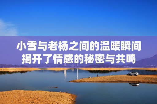 小雪与老杨之间的温暖瞬间揭开了情感的秘密与共鸣