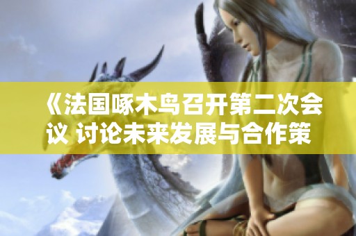 《法国啄木鸟召开第二次会议 讨论未来发展与合作策略》