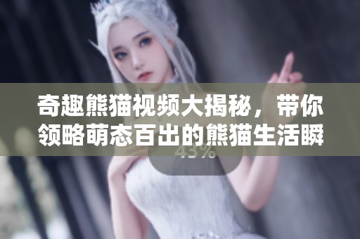 奇趣熊猫视频大揭秘，带你领略萌态百出的熊猫生活瞬间