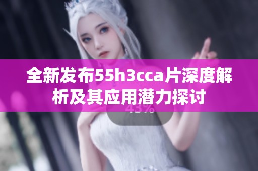 全新发布55h3cca片深度解析及其应用潜力探讨