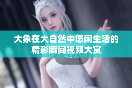 大象在大自然中悠闲生活的精彩瞬间视频大赏