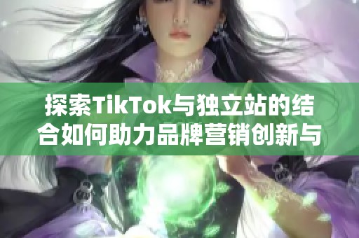 探索TikTok与独立站的结合如何助力品牌营销创新与增长
