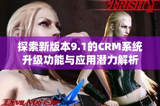 探索新版本9.1的CRM系统升级功能与应用潜力解析
